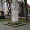 Pomnik Wacława w Szamotułach